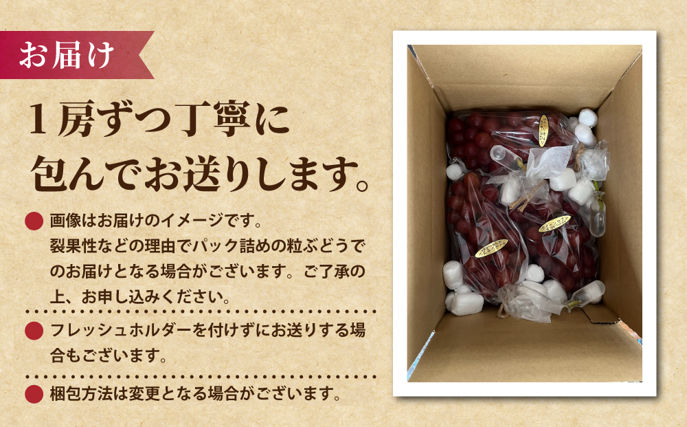 【先行受付2026年発送】皮ごと食べられるクイーンセブン2～3房（約1kg）｜あおさく農園　※2026年9月上旬以降発送予定｜農薬削減