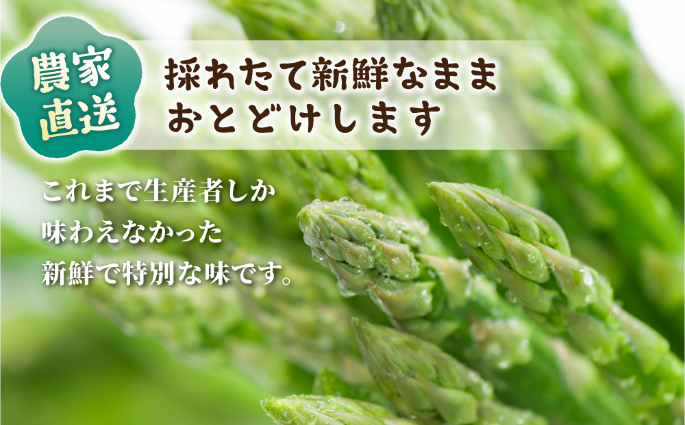 先行予約2025年発送【のららぼ農園】農家直送！新鮮！春獲れ太（L）アスパラ1kg（おおよそ30?40本）※2025年3月下旬?5月下旬発送予定