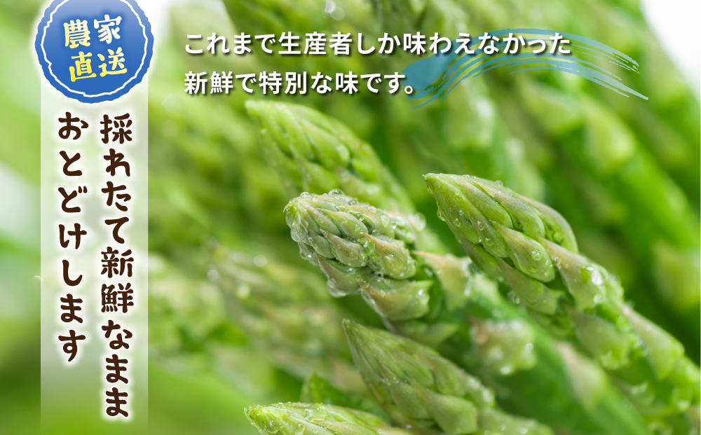 【先行受付2026年発送】農家直送！新鮮！夏獲れ細（M～L）アスパラ約1.2kg（およそ40～60本）｜のららぼ農園 ※2026年7月上旬～9月中旬発送予定