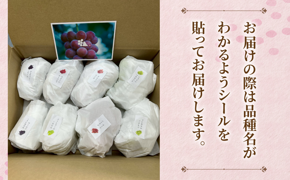 【おぎはら園】農家直送！贈答用3色ぶどうの詰め合わせセット 3kg（6～10房）｜シャインマスカット、種なし巨峰、ナガノパープル 、クイーンニーナ、クイーンルージュ®など　※2025年9月中旬～10月上旬順次発送
