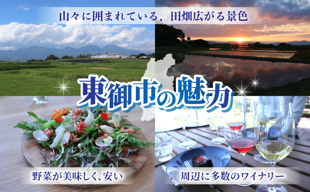 長野県東御市　移住・2拠点生活を検討してる方向け『移住者が案内するプライベートツアー』（オーダーメイド）｜里山JAPAN