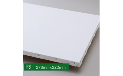 オリジナルキャンバスプリント（F3サイズ）2枚セット