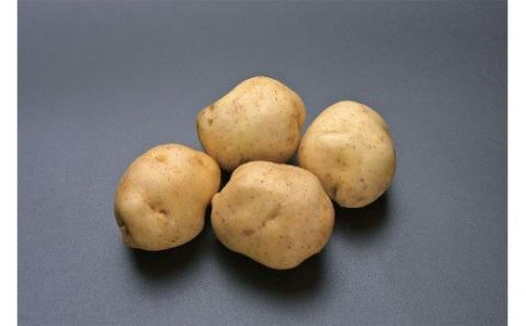 とうみの「農」頒布会（８回コース）