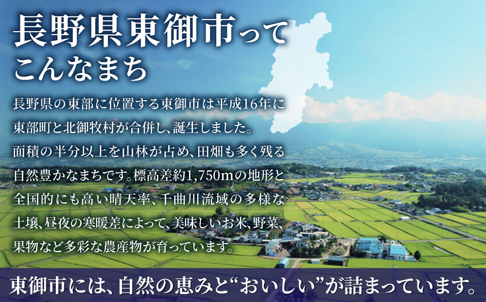 あなただけのオーダーメイド【東御市コンシェルジュ】10万円コース