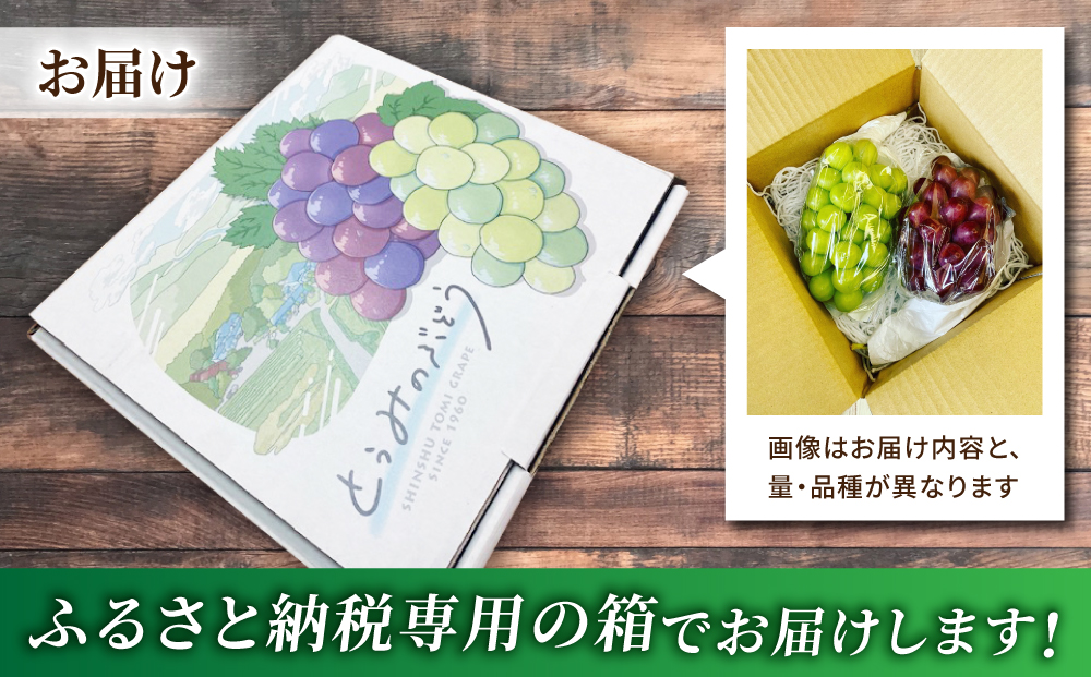 2026年先行受付【おがわら農園】家庭用欲張りセット！（シャインマスカット1～2房・種無し巨峰1～2房）約850～900g※2026年9月上旬以降発送予定 おがわら農園