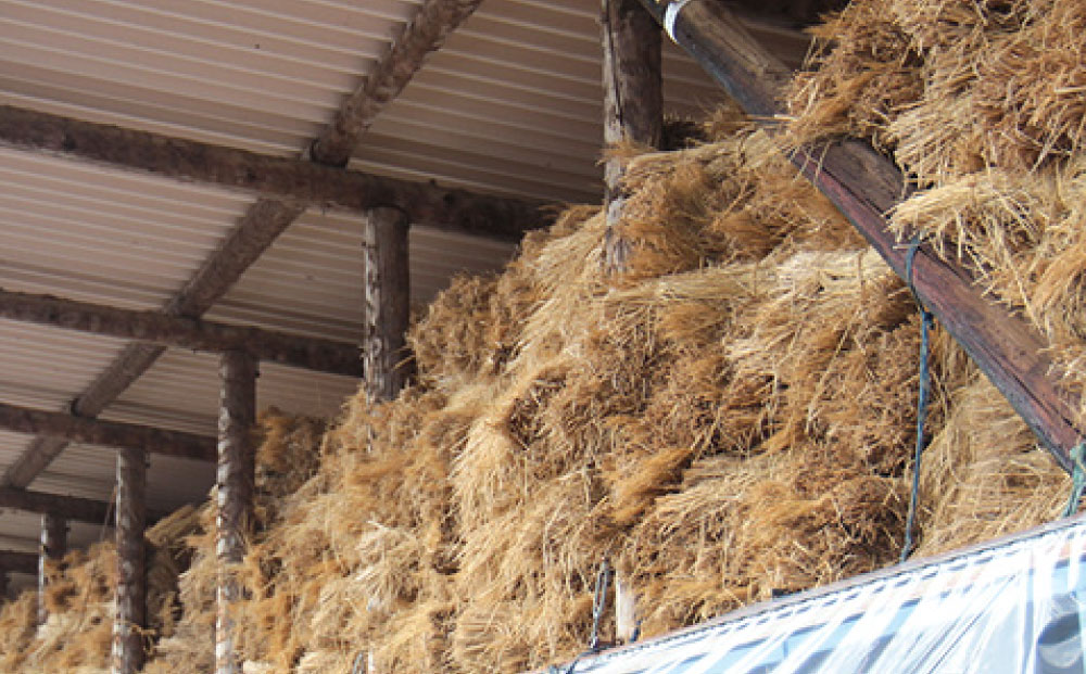 【牧舎みねむら】ビーフジャーキー　35g×5個セット