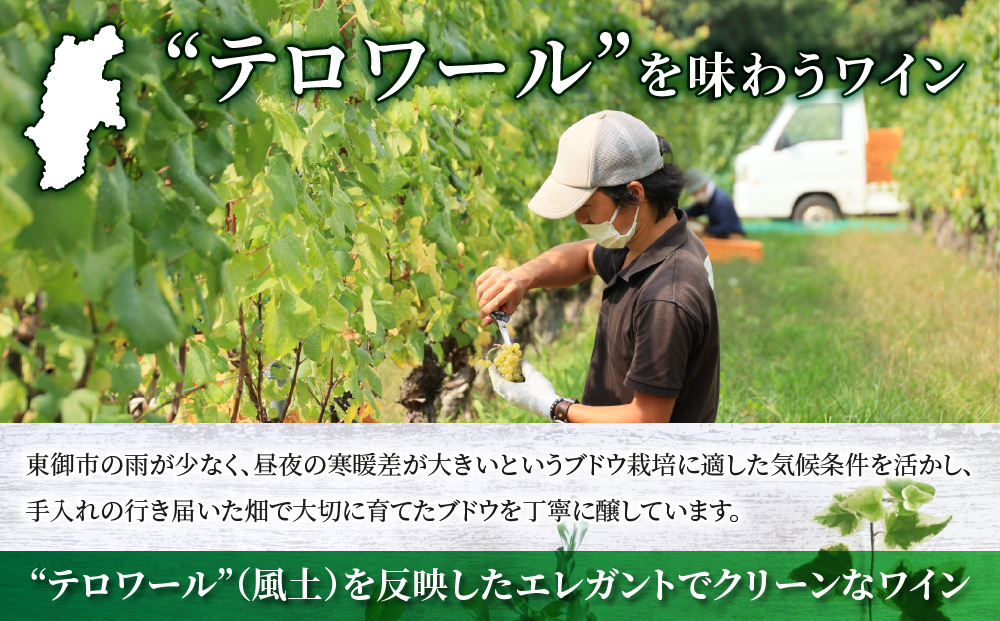 【ヴィラデストワイナリー】赤白ワイン2本セット