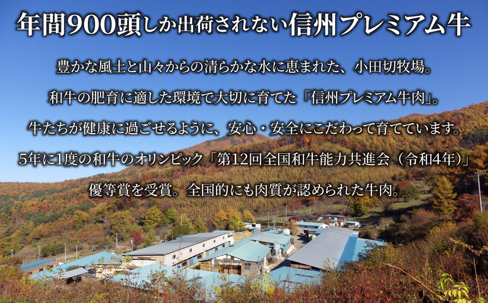 信州プレミアム牛使用「信州和牛カレー」「信州和牛シチュー」「玉ねぎ黒酢ドレッシング」セット