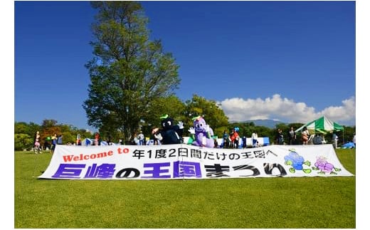 【先行受付2026年発送】東御市産ナガノパープル2房（約1kg）【8月下旬～9月下旬発送】| 長野県 長野 人気 ぶどう 贈答用 ギフト 2房 フルーツ 果物 おすすめ 厳選 種無し 皮ごと 大粒 食べ比べ