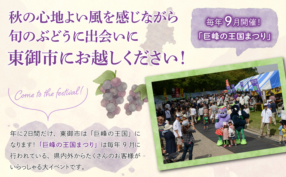 【先行受付2026年発送】東御市産種あり巨峰約2kg（4～6房）　※9月上旬～10月上旬頃お届け予定