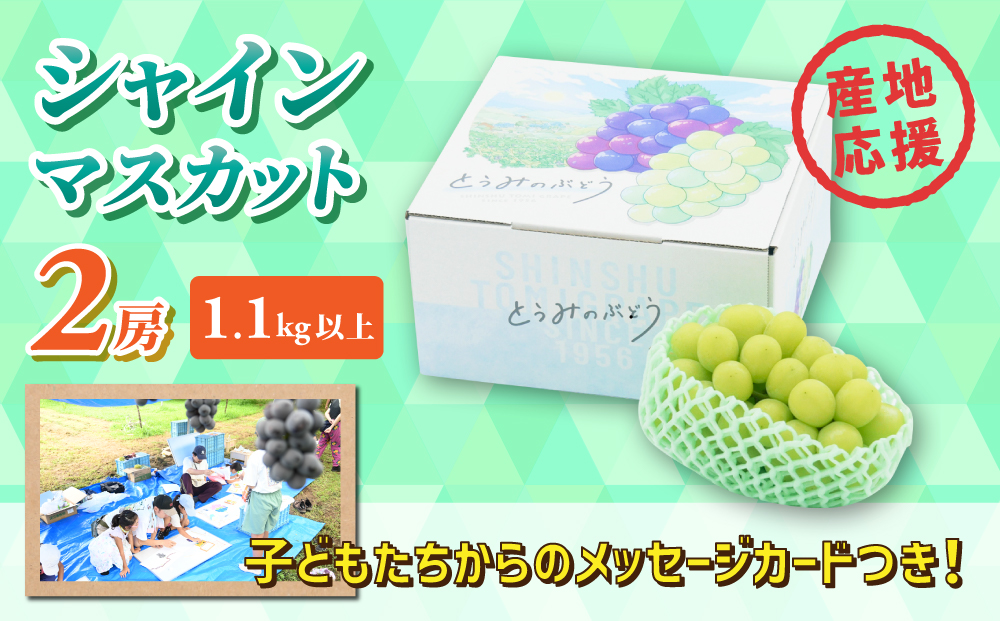 ぶどうの産地を応援！！とうみ未来ブドウプロジェクトと子どもたちが送る　シャインマスカット 2房（1.1kg以上）【秋お届け】｜長野県 人気 ぶどう 贈答用 ギフト フルーツ 果物 おすすめ 厳選 種無し 皮ごと 大粒