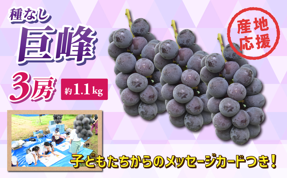 ぶどうの産地を応援！！とうみ未来ブドウプロジェクトと子どもたちが送る　種なし巨峰 3房（約1.1kg）【秋お届け】｜長野県 人気 ぶどう 贈答用 ギフト フルーツ 果物 おすすめ 厳選 種無し 大粒