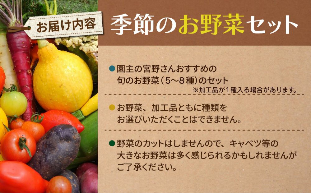【４回定期便】季節のお野菜セット（２~３人様向け）｜アグロノーム