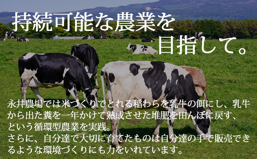永井農場の手づくり餅　詰め合わせA｜白のし餅、うる入豆餅、切り餅（玄米餅・豆餅・のり餅・きび餅・くるみ餅）