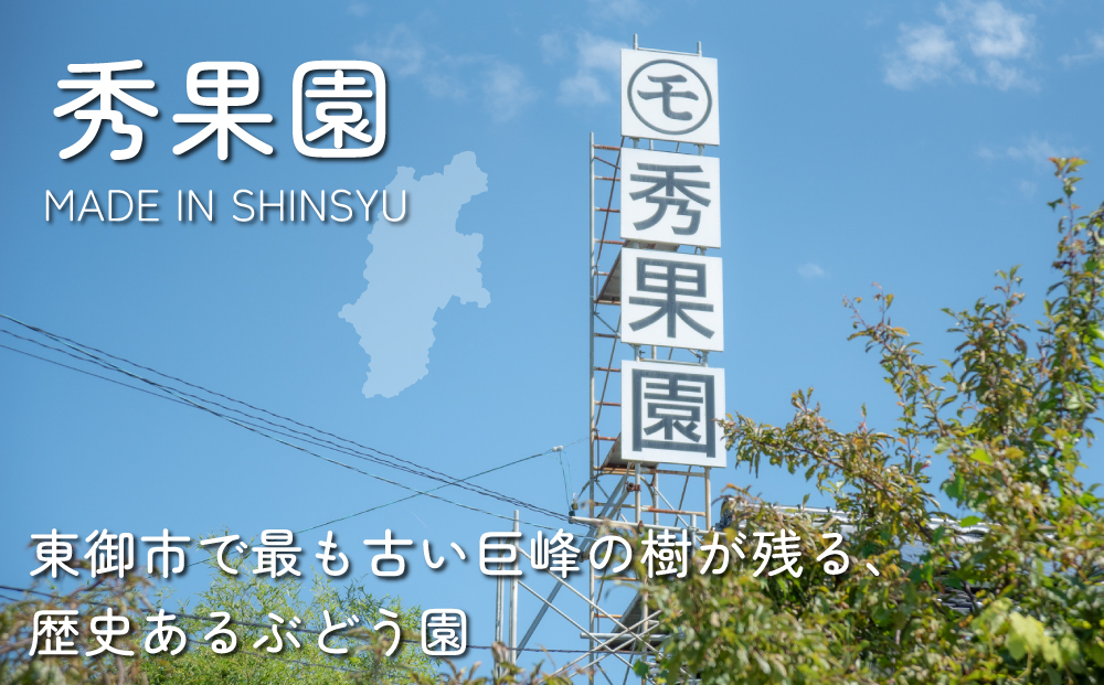 【秀果園】ぶどう農家のセミドライぶどう5品種5袋(各50g)|巨峰、シャインマスカット、ナガノパープルなど