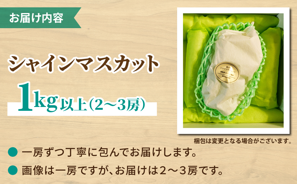 【先行受付2026年発送】シャインマスカット1kg以上（2～3房）｜御牧原おいしい農園　※2026年10月上旬～10月下旬頃発送予定