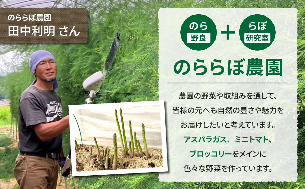 先行予約2025年発送【のららぼ農園】農家直送！新鮮！春獲れ太（L）アスパラ1kg（おおよそ30?40本）※2025年3月下旬?5月下旬発送予定