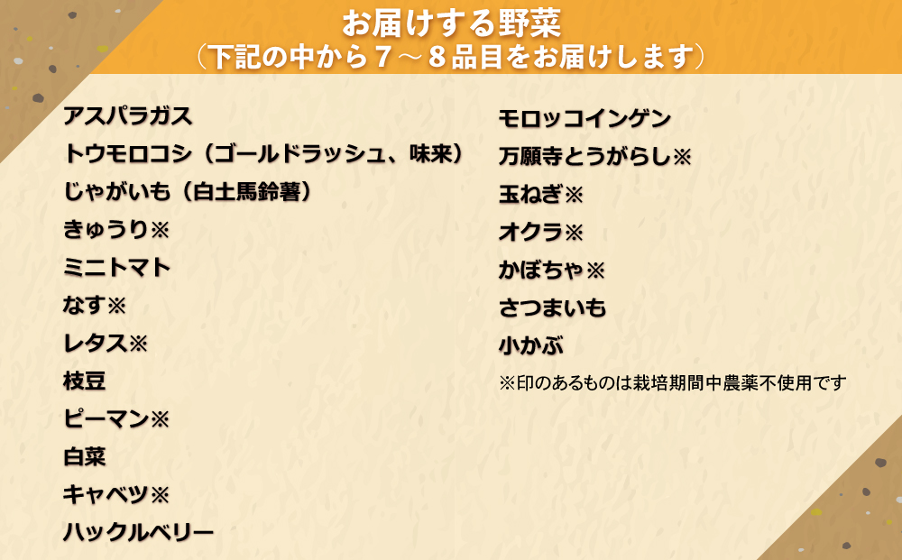 先行予約【里山JAPAN】【４回定期便】生きた土壌で育った『季節の野菜セット』｜2025年7月以降発送予定