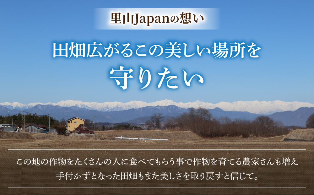 【里山JAPAN】長野県産！生きた土壌で育った『御牧原米こしひかり 玄米5kg』と小田切牧場ビーフカレー、ビーフシチューセット｜2025年10月上旬以降に発送予定