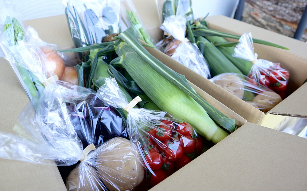 先行予約【里山JAPAN】【４回定期便】生きた土壌で育った『季節の野菜セット』｜2025年7月以降発送予定