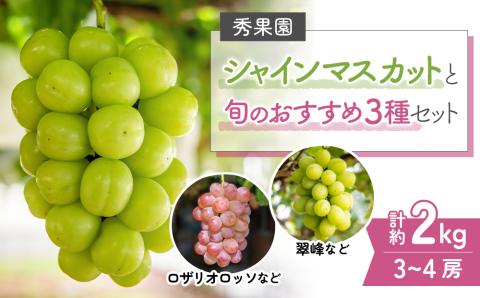 【予約受付2025年発送】シャインマスカットと旬のおすすめ3種セット（合計3～4房、約2kg）｜秀果園　※2025年9月下旬～10月順次発送予定