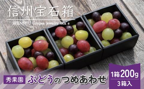 【先行受付2026年発送】信州宝石箱（ぶどうの詰め合わせ）｜ 秀果園 　※2026年9月上旬～10月下旬 順次発送
