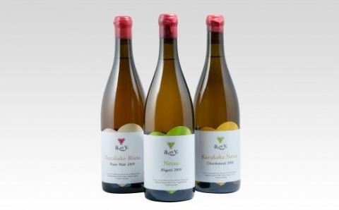 【数量限定】東御市産ワイン 3本 （ぼんじゅーる農園産）