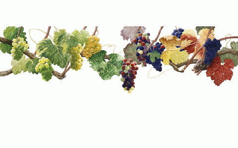 玉村豊男版画作品「ぶどうの時間」（額入り）