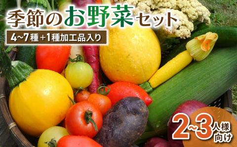 【アグロノーム】季節のお野菜セット（２~３人様向け）※2024年7月以降発送開始