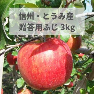 東御市産りんご 約3kg（ふじ）※11月下旬～12月中旬頃に順次発送予定