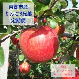 東御市産りんご３兄弟定期便（3kg×3種 ）