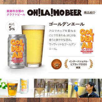 ゴールデンエール＆アンバーエール20本セット クラフトビール 飲み比べ