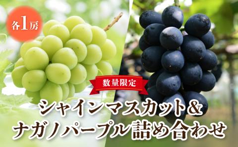 【先行予約】東御市産シャインマスカット＆ナガノパープル ※8月下旬?9月下旬頃発送 | 長野県 長野 人気 ぶどう 贈答用 ギフト 2房 フルーツ 果物 おすすめ 厳選 種無し 皮ごと 大粒 食べ比べ