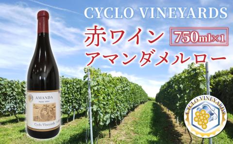 ミシュラン星獲得レストラン採用の赤ワイン【496ワイナリー】