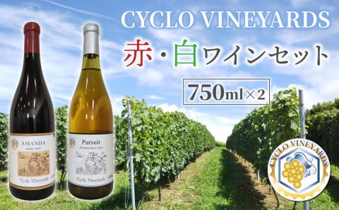 （年内発送）ミシュラン星獲得レストラン採用の赤・白ワイン【496ワイナリー】｜メルロー、ソーヴィニヨンブラン各1本