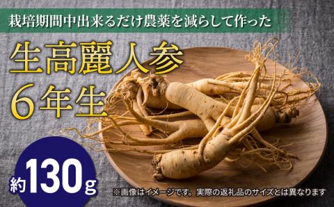 【先行予約2024年発送】栽培期間中出来るだけ農薬を減らして作った生高麗人参 6年生 約130ｇ（※2024年9月?10月頃お届け予定）