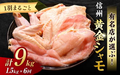 【６回定期便】信州黄金シャモ1羽まるごとセット