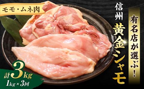 【3回定期便 】信州黄金シャモモモ・ムネ肉セット