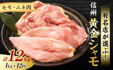 【12回定期便 】信州黄金シャモモモ・ムネ肉セット