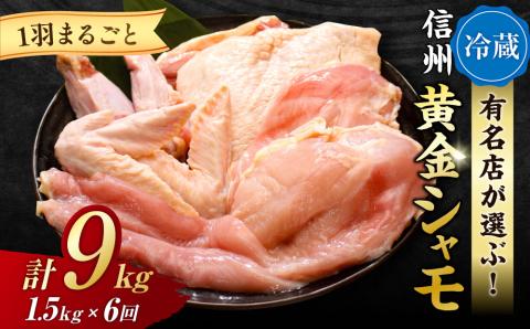 【６回定期便 】朝びき！信州黄金シャモ1羽まるごとセット（冷蔵）