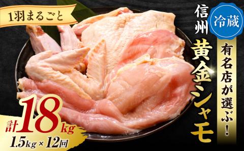 【１２回定期便 】朝びき！信州黄金シャモ1羽まるごとセット（冷蔵）