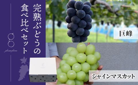 【先行受付2026年発送】完熟ぶどうの食べ比べセット（シャインマスカット×巨峰）３房、1.4kg以上｜glasses farm ※2026年9月中旬以降発送予定