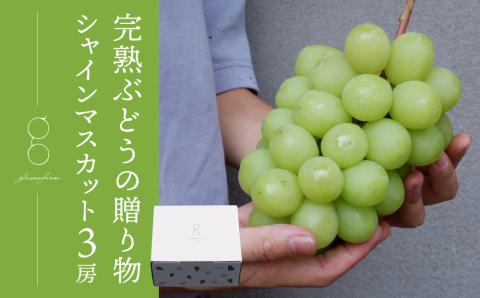 【先行受付2026年発送】完熟ぶどうの贈り物（シャインマスカット3房）｜glasses farm ※2026年9月中旬～10月下旬発送予定