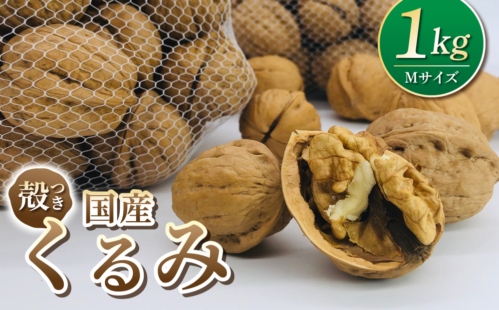 【アルファーム】信濃くるみ　殻付きタイプ（Mサイズ）