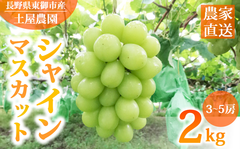 先行受付2026年発送【土屋農園】農家直送！シャインマスカット2kg（3～5房）※2026年9月下旬～10月中旬順次発送