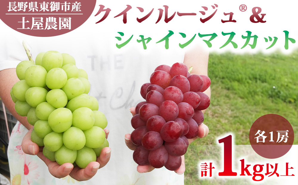 先行受付2026年発送【土屋農園】農家直送！クイーンルージュ(R)とシャインマスカットのセット1kg以上（各1房）※2026年9月下旬～10月中旬順次発送
