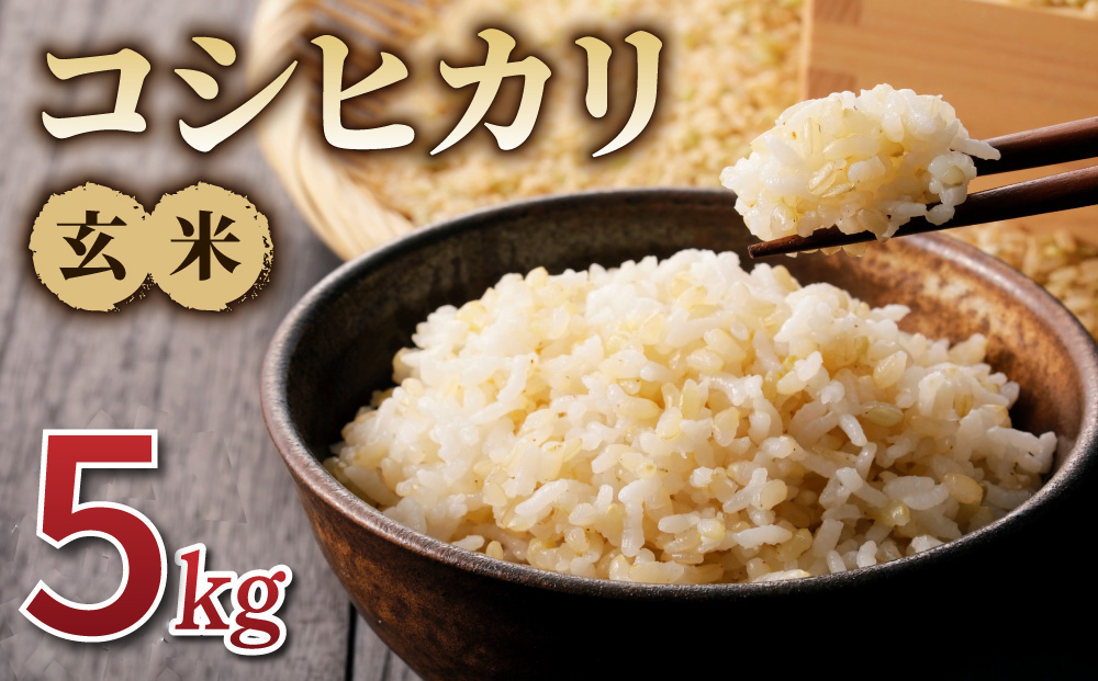 令和7年産新米！コシヒカリ玄米５kg　※2025年10月上旬以降順次発送