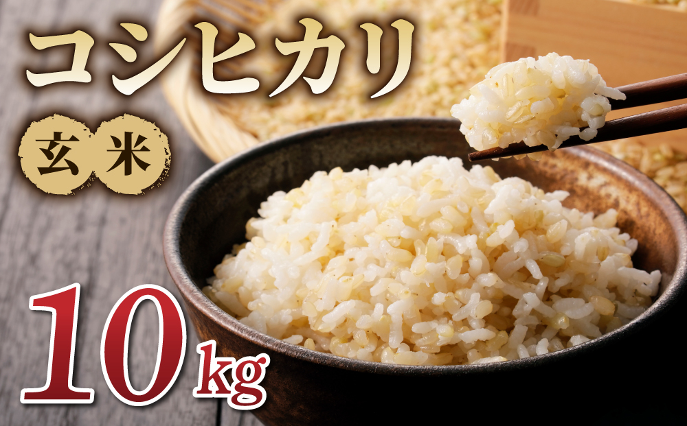 令和7年産新米！コシヒカリ玄米10kg　※2025年10月上旬以降順次発送