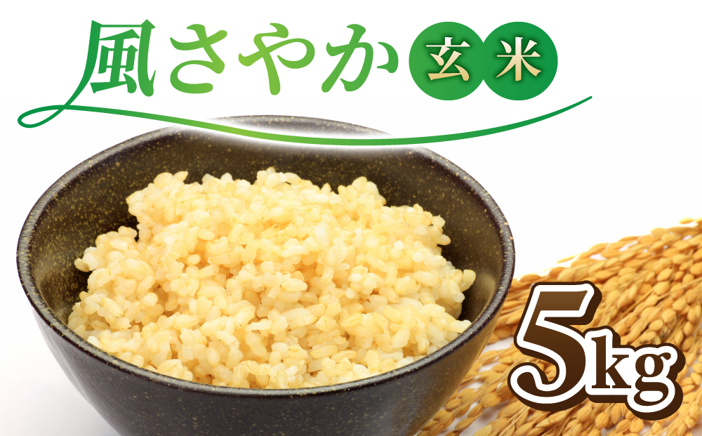 令和7年産新米！長野県オリジナル品種「風さやか」玄米5kg　※2025年10月上旬以降順次発送