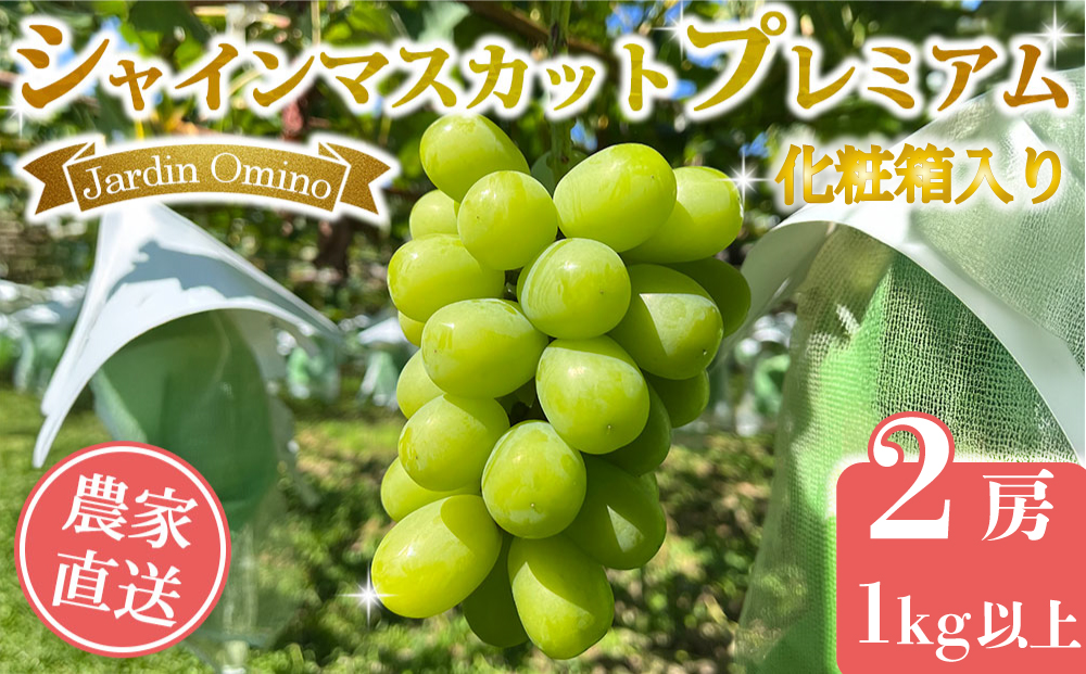 【先行受付2026年発送】シャインマスカット プレミアム 2房、1kg以上｜Jardin Omino　※2026年9月上旬〜10月中旬に発送予定
